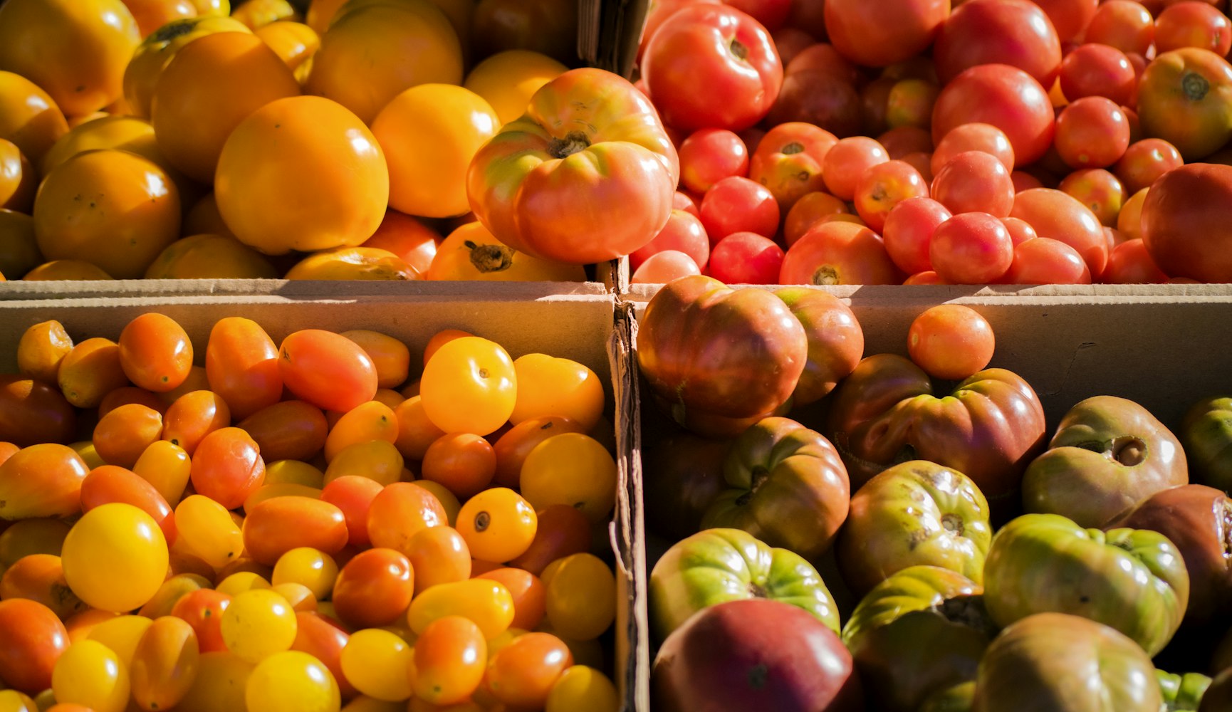永州新鲜水果推荐,尽享大自然的馈赠美味