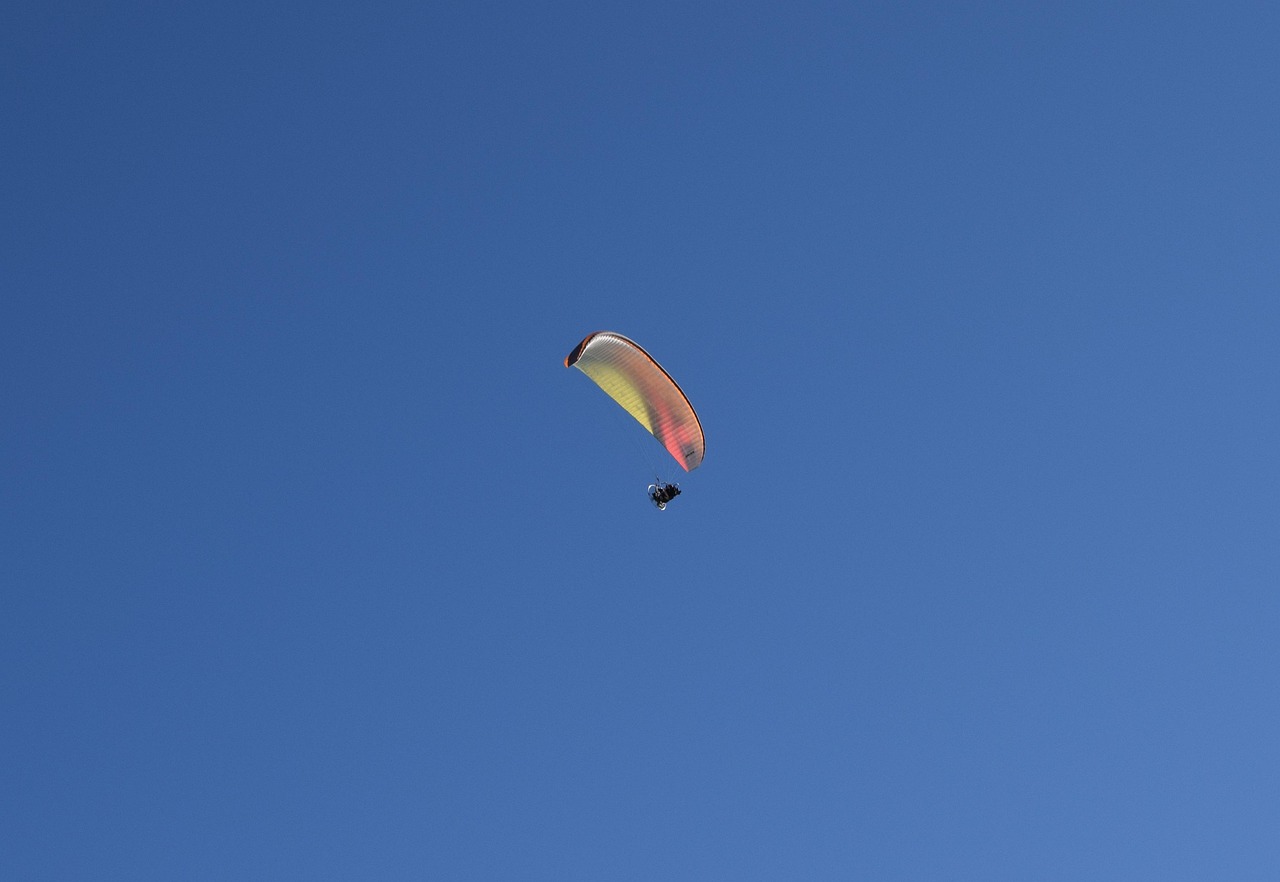 仙桃江滩公园最新动态更新