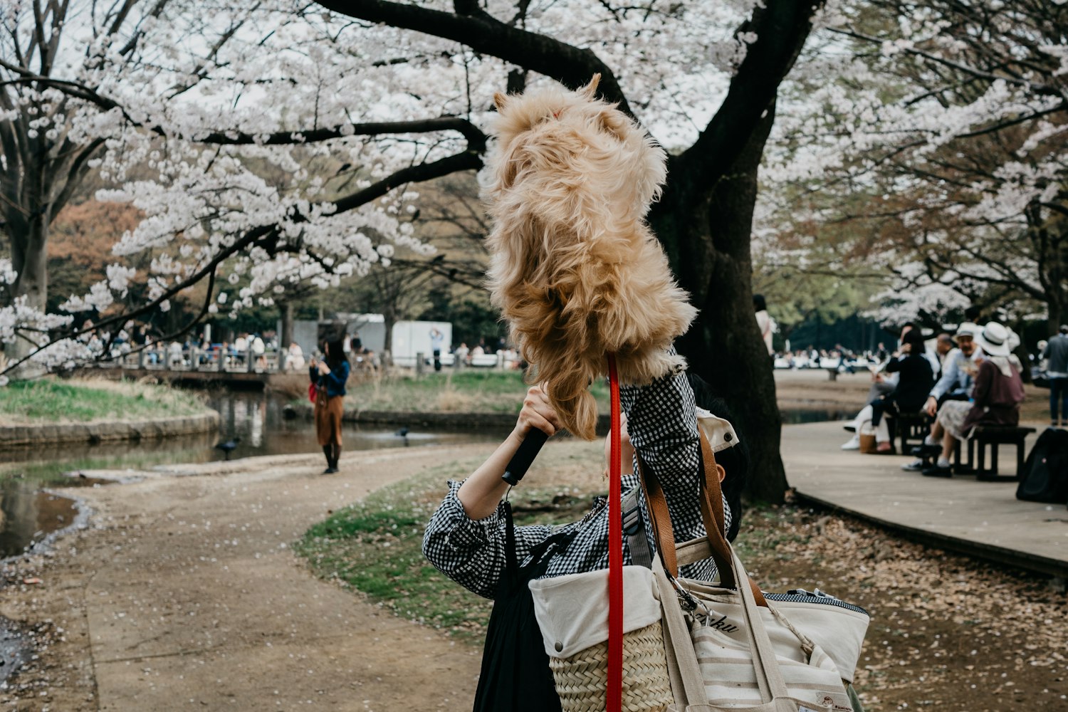 健身电影,力量与激情的热血碰撞之旅