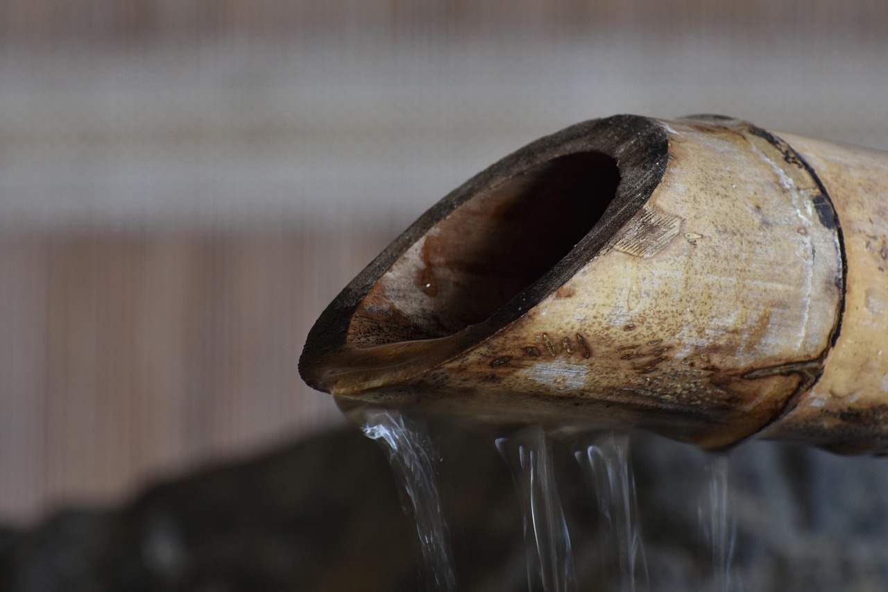 清远最新资讯概览，最新动态与资讯一网打尽