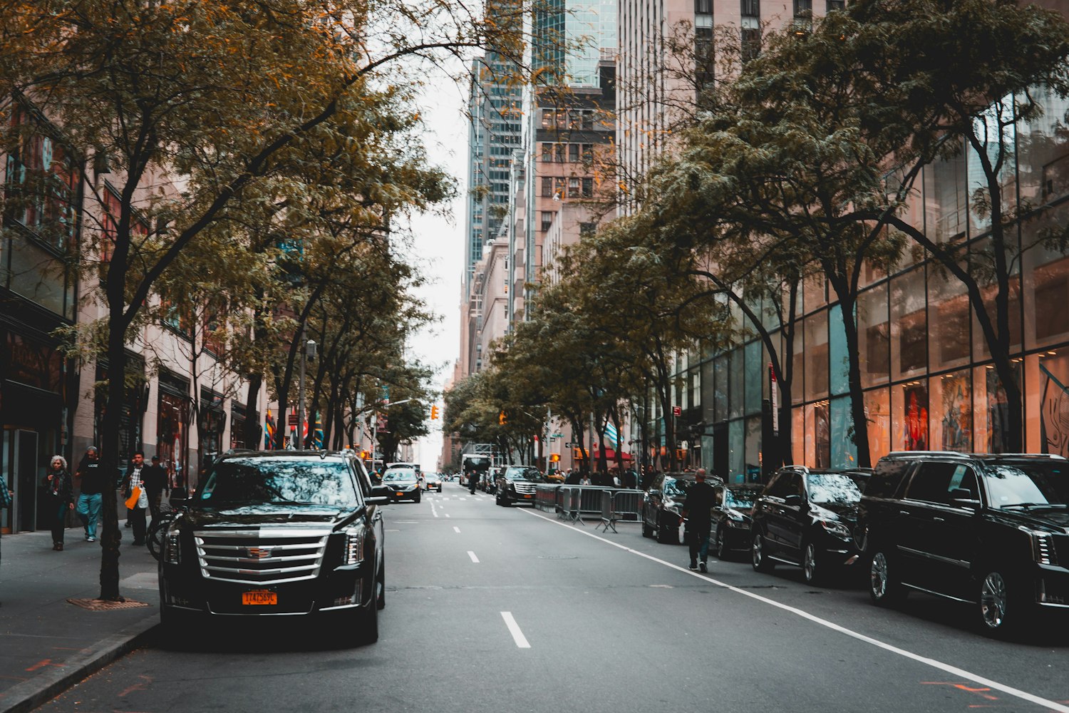 惠州热门住宅项目概览