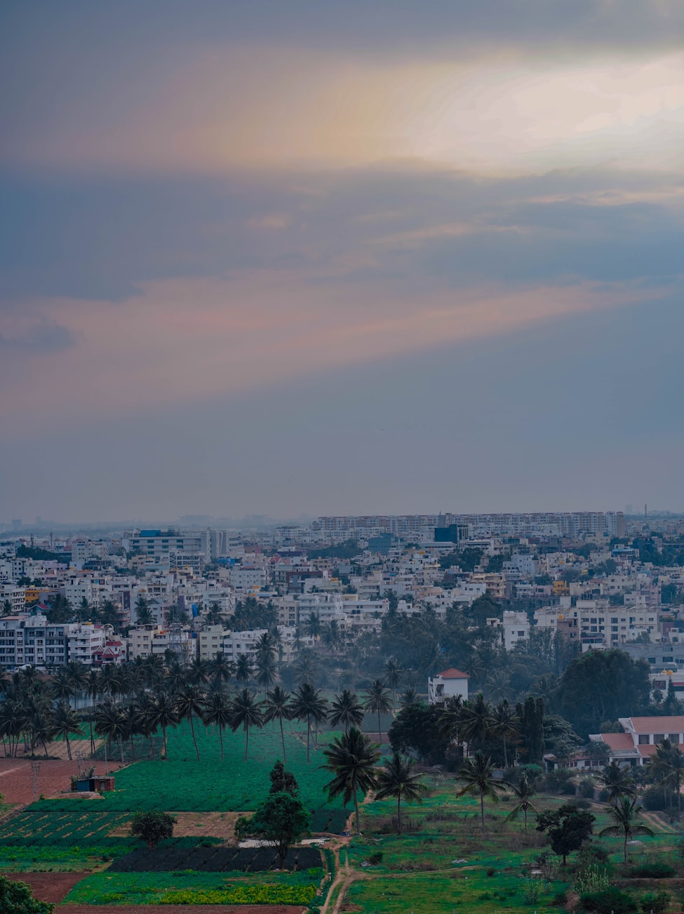 百色新鲜资讯，城市发展的活力源泉