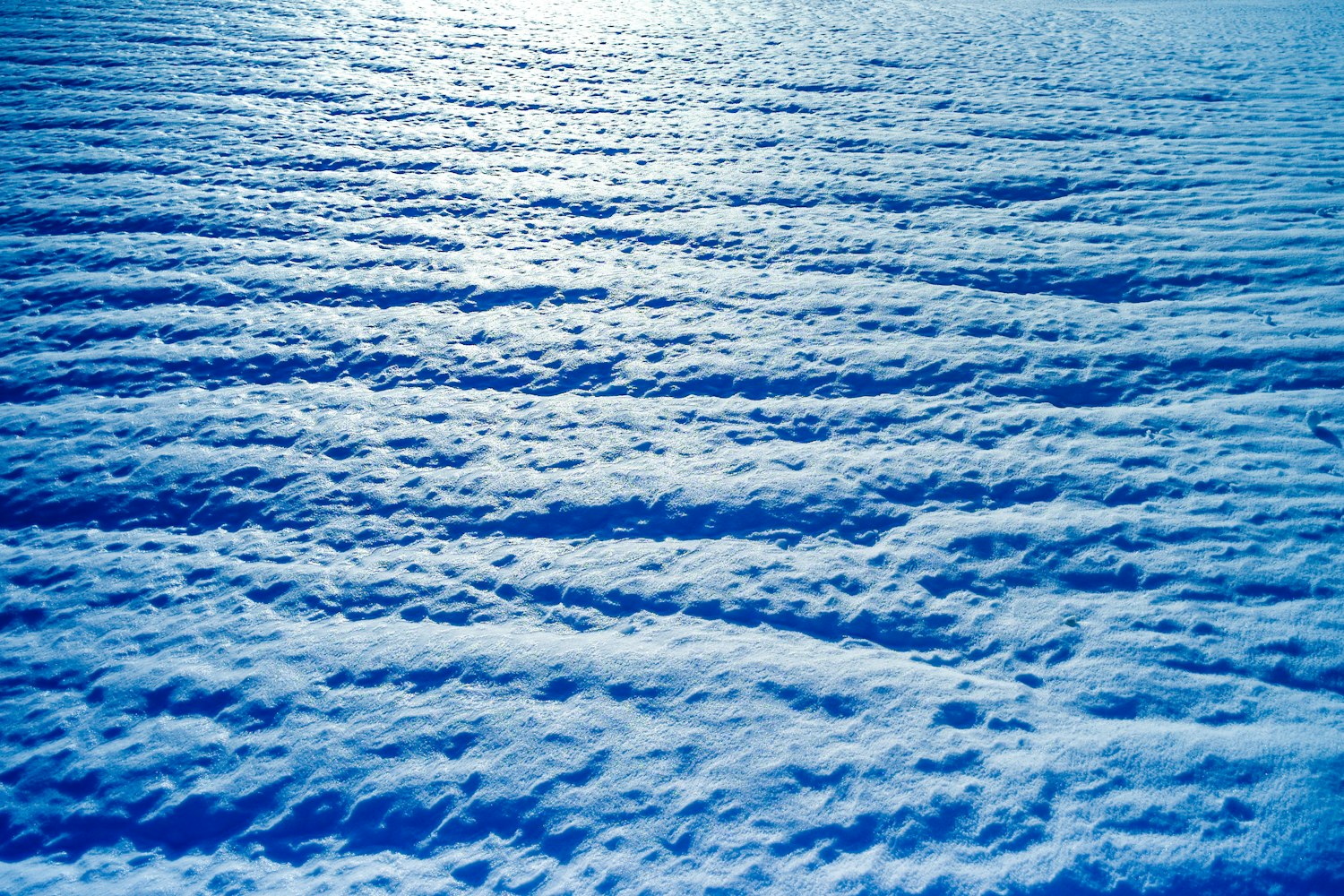 蓝色动漫背景的魅力世界探索