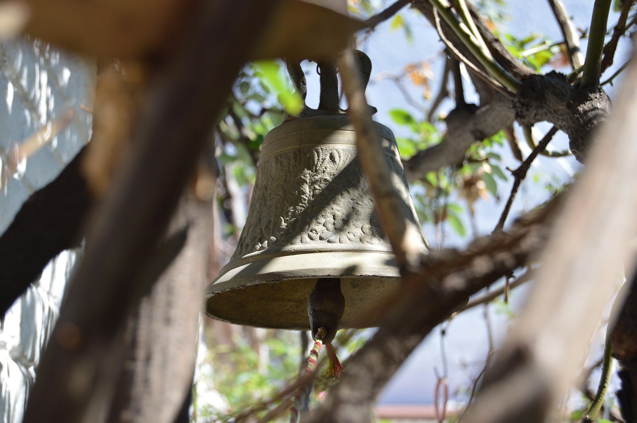 蒲江二手房市场最新动态及趋势分析,最新消息全面解读