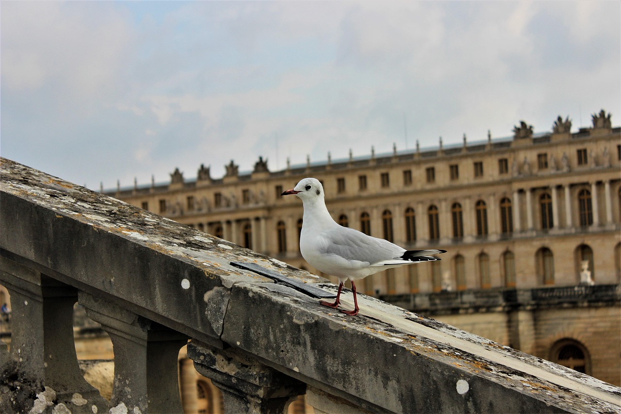 津石高速天津建设进展及未来展望最新动态