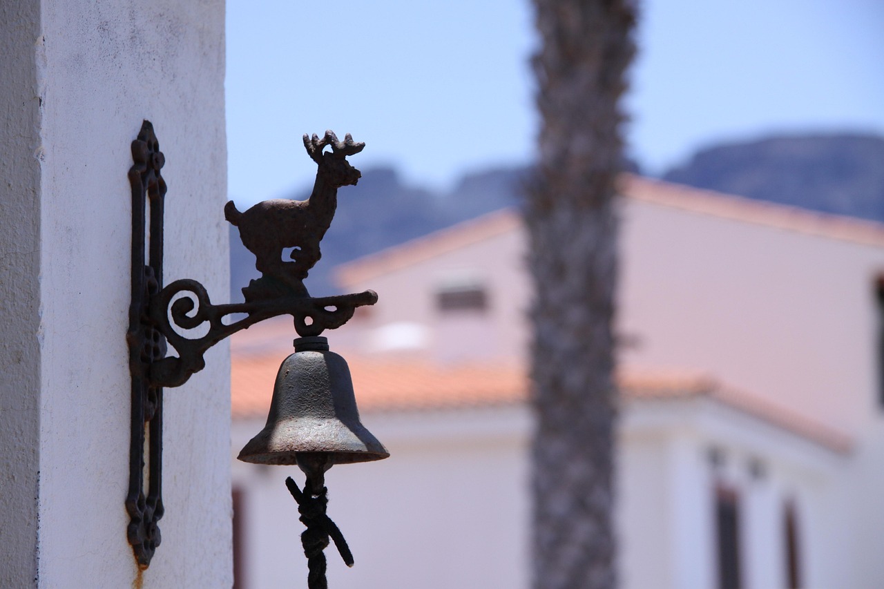 平邑大蒜最新行情分析,市场动态与趋势解读