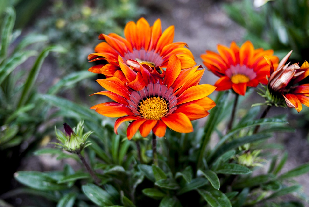 王者荣耀最新更新资讯详解及更新动态解析