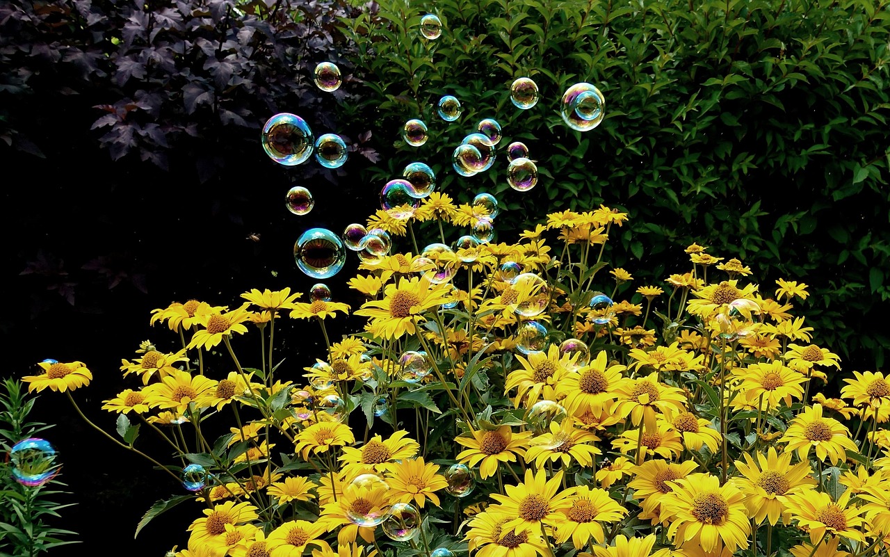 王者荣耀最新更新资讯详解及更新动态解析