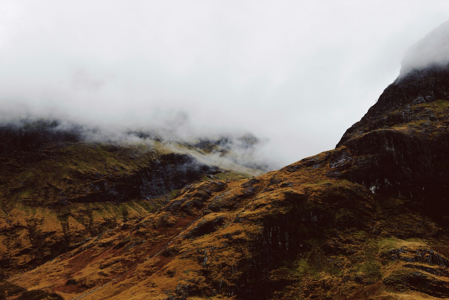 湖南人事任免最新动态更新