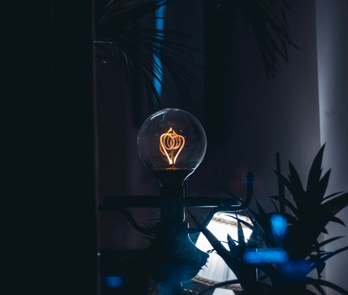 遮天新篇章,奇幻之旅正式开启