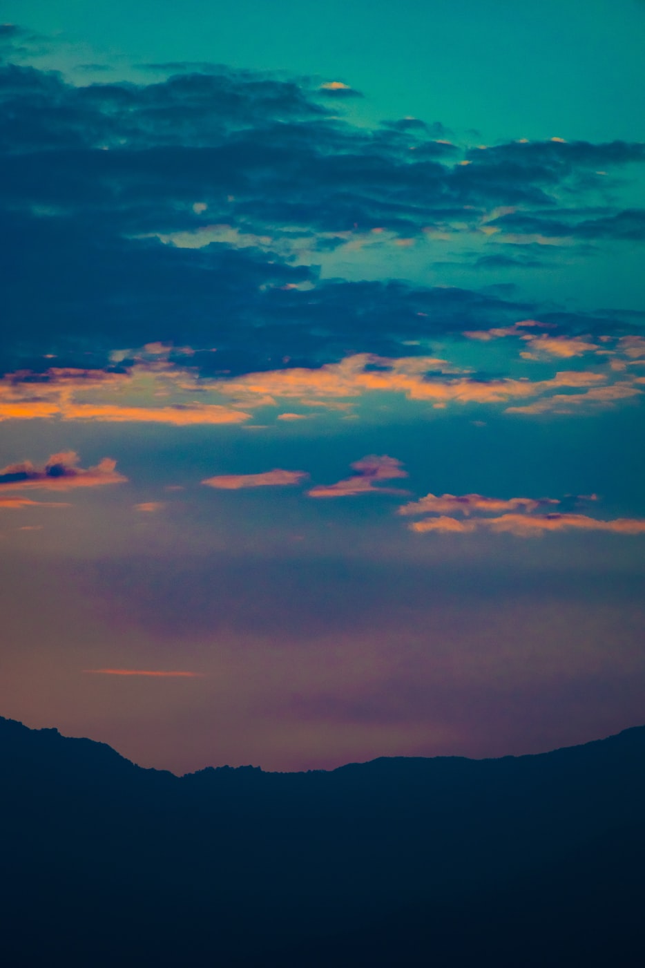 洛阳郝东升任免动态,城市发展的坚实后盾人物介绍