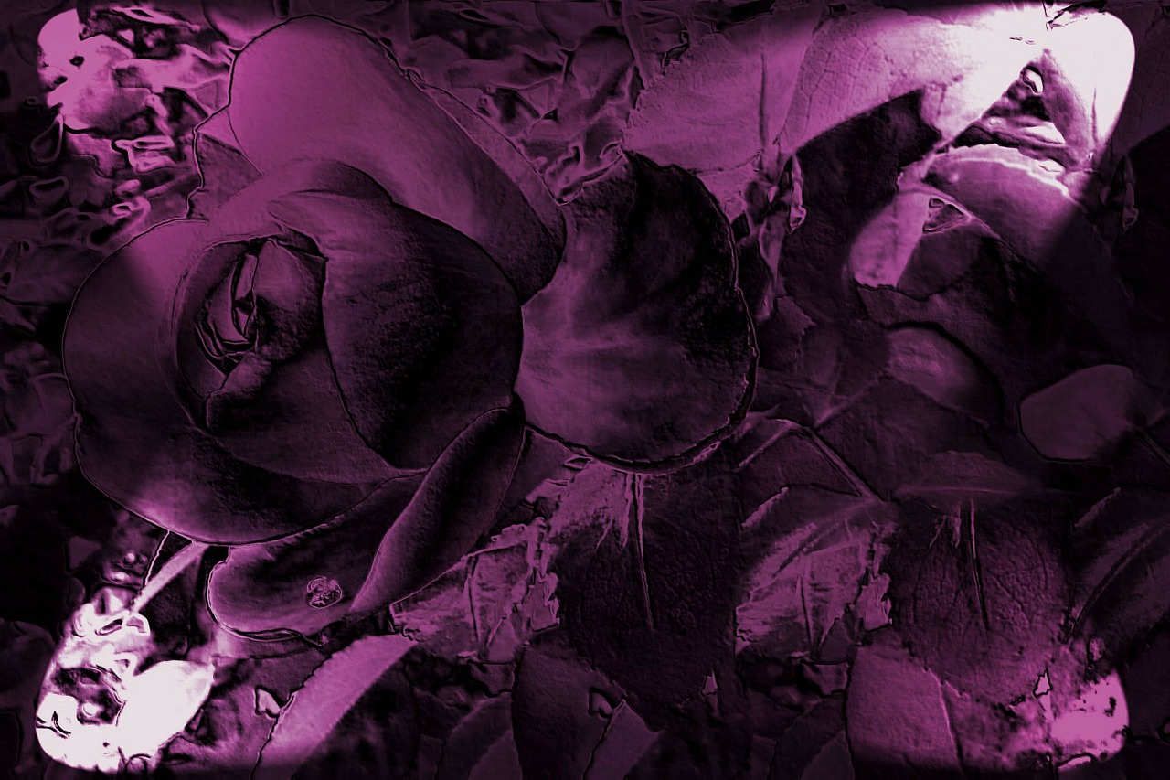 金刚演员,银幕传奇与真实英雄形象