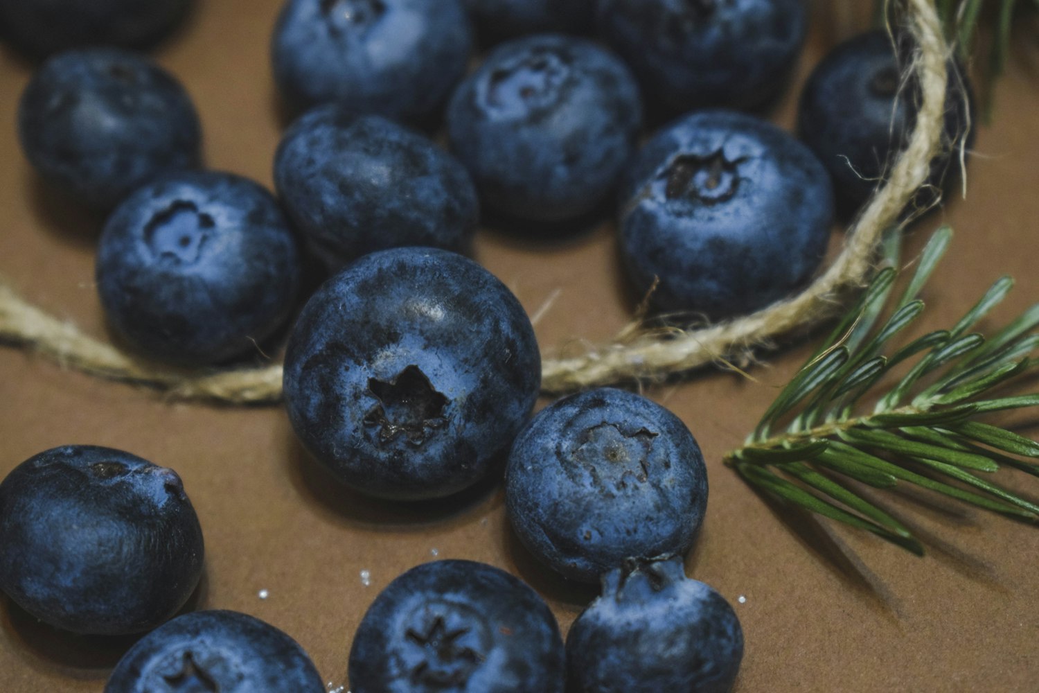 新鲜海参,海洋馈赠的珍稀之宝与健康的秘密武器