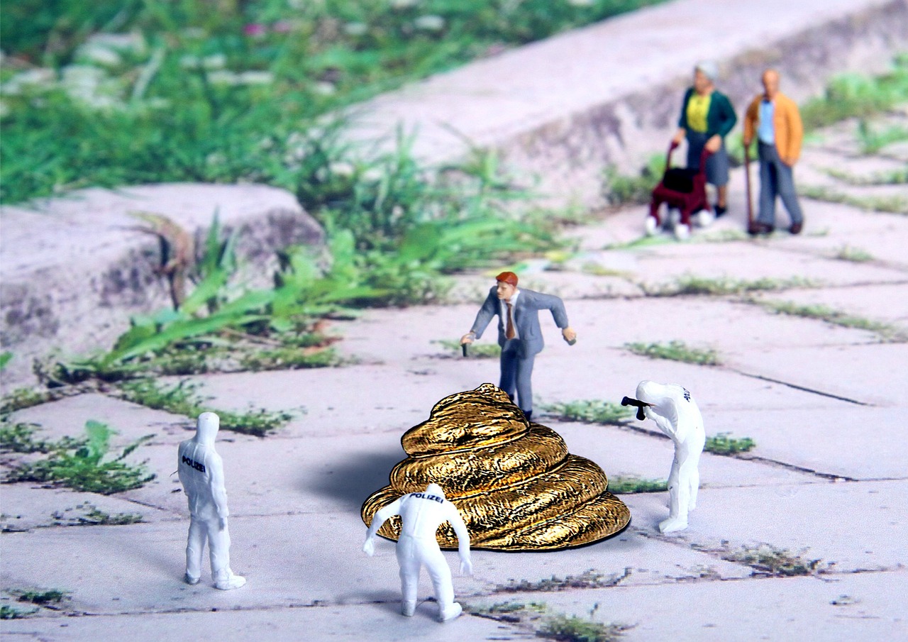 野猪最新地址,探索与保护的双重挑战之路