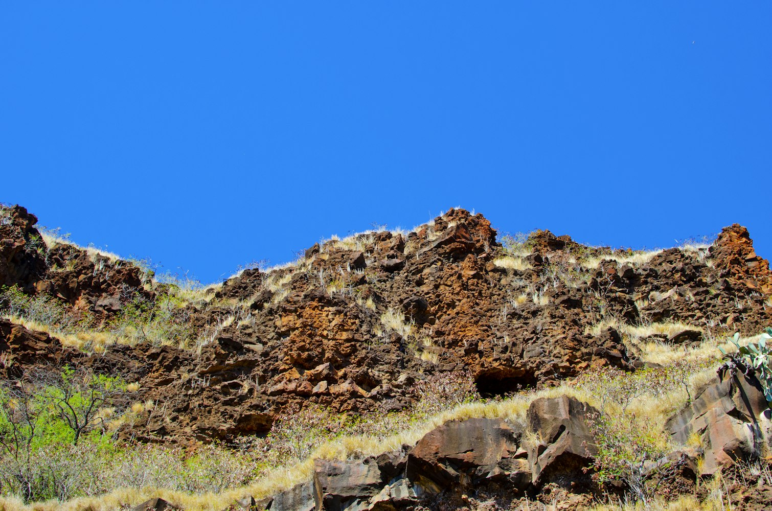 武汉蔬菜行情概览与动态分析