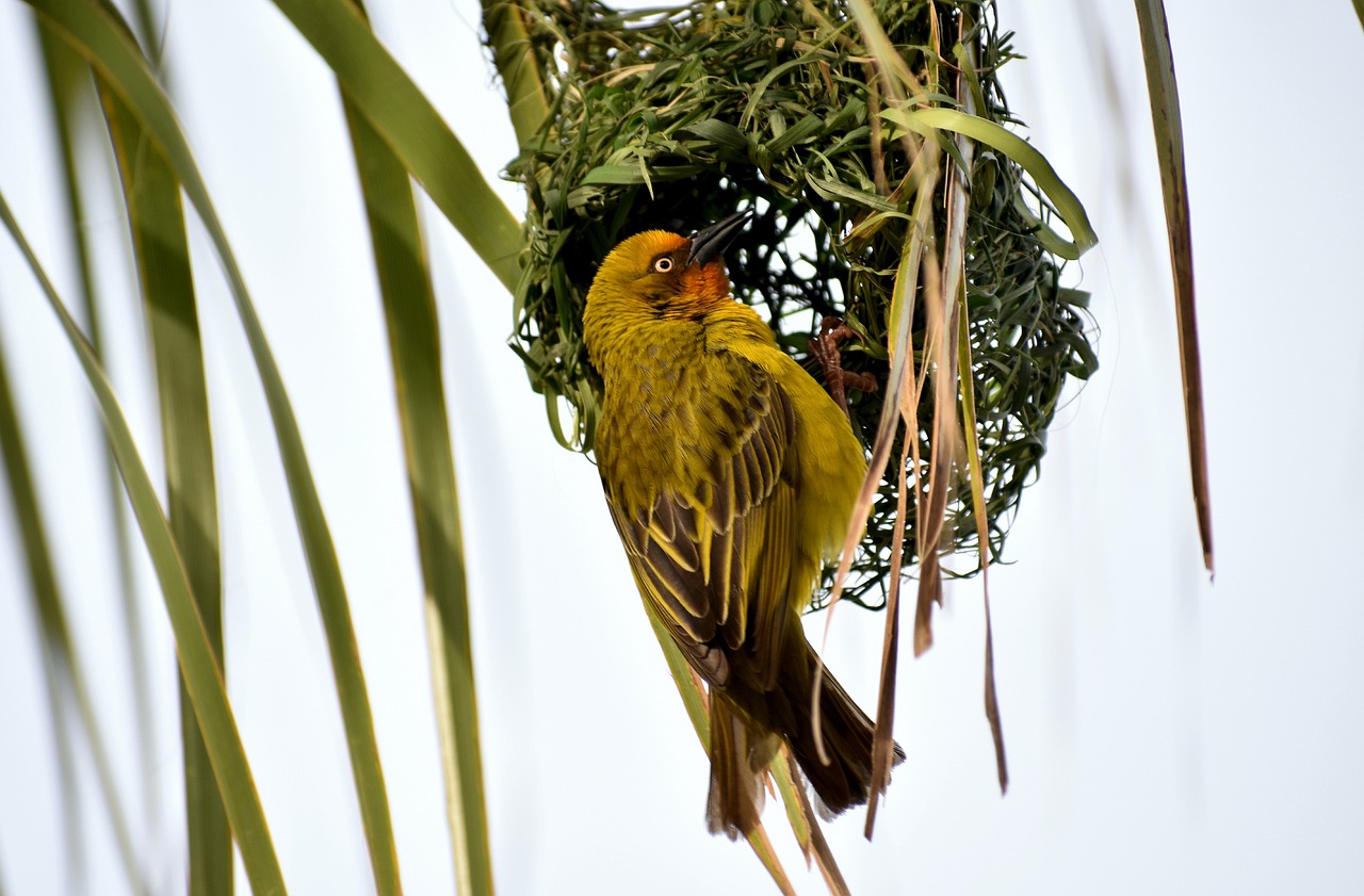 东莞长安蓬勃发展新面貌,最新动态揭秘城市新进展