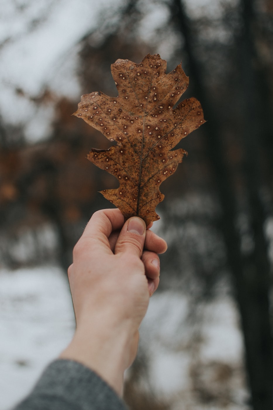 杭州车祸最新进展深度报道,事故处理最新动态与细节揭秘