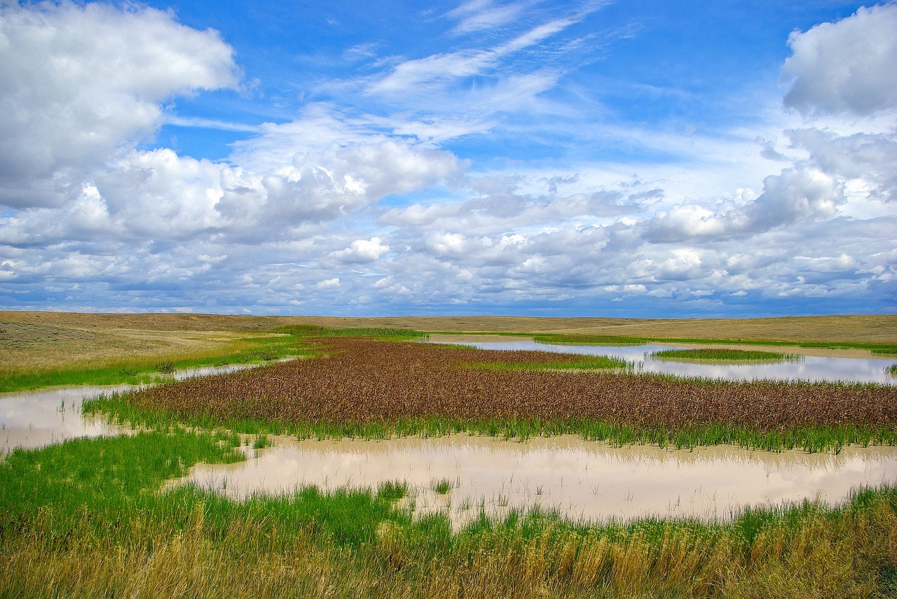 毛里湖国家湿地公园最新动态揭秘