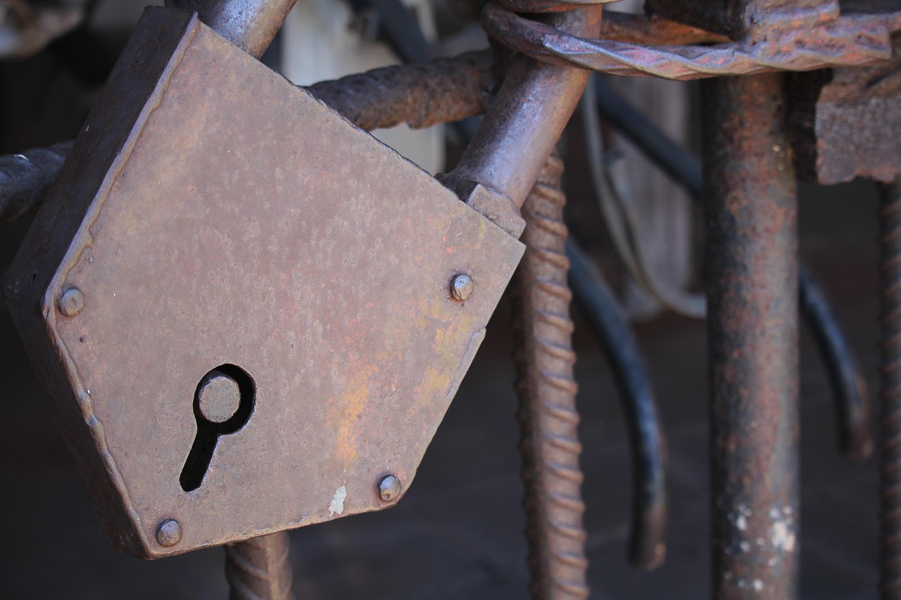 广东邓维龙展现新时代风采,最新动态引领未来之路