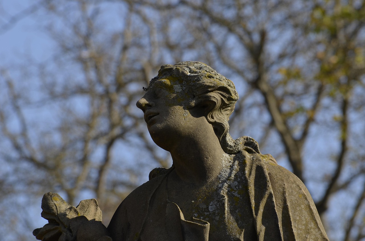 雍正王朝电视剧全集,历史与艺术的绝妙融合