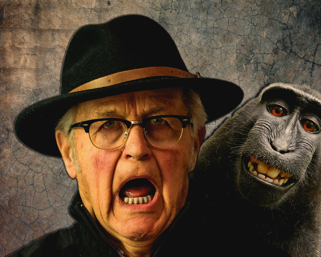 屌丝男士最新季,真实与幽默的展现