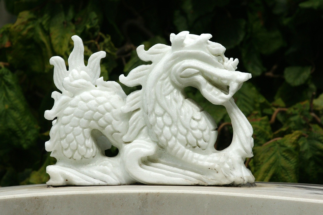 揭秘螳螂世界的独特魅力,最新动态探索神秘生物之旅