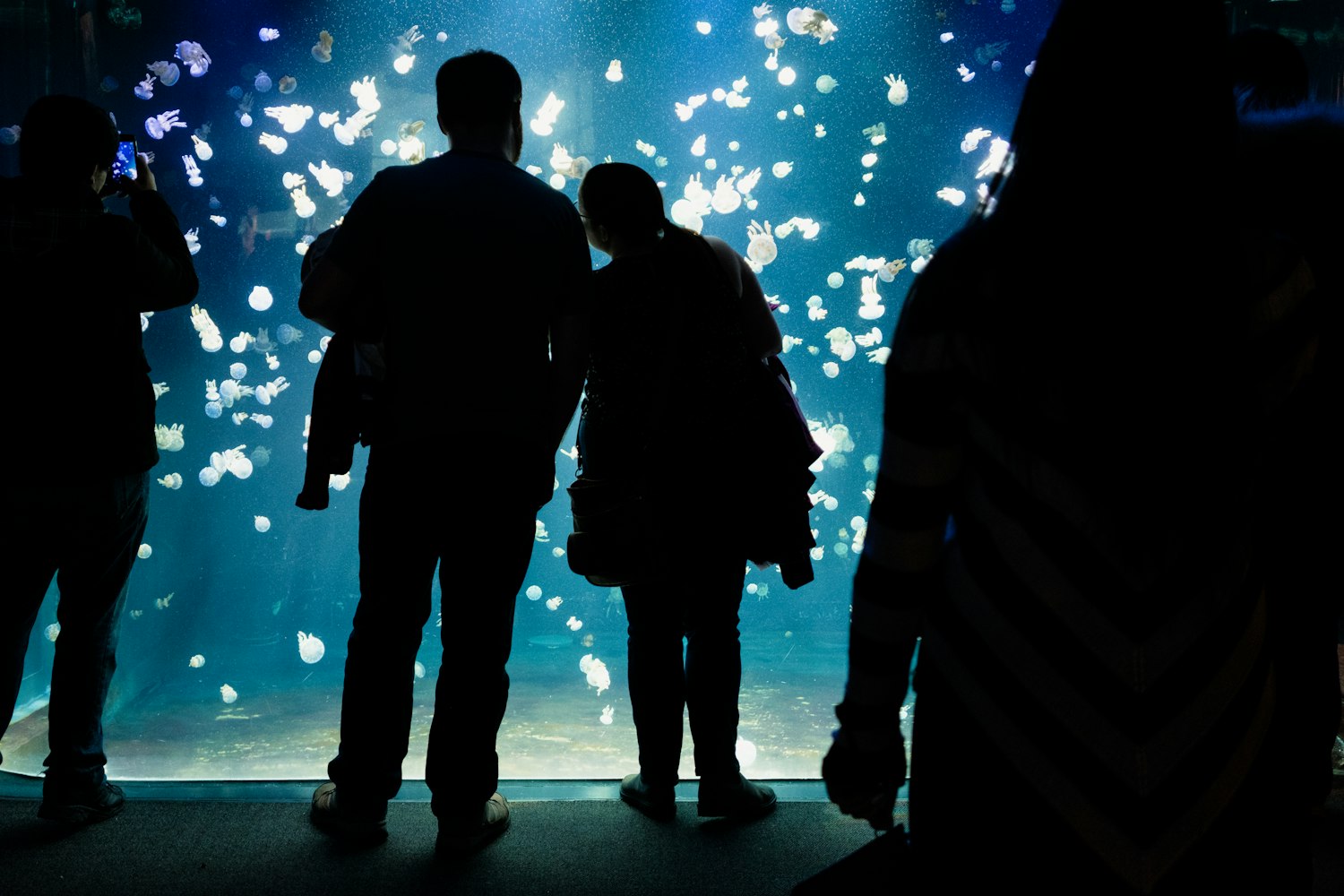 潮流快闪店揭晓,探索时尚新领域的神秘面纱之旅