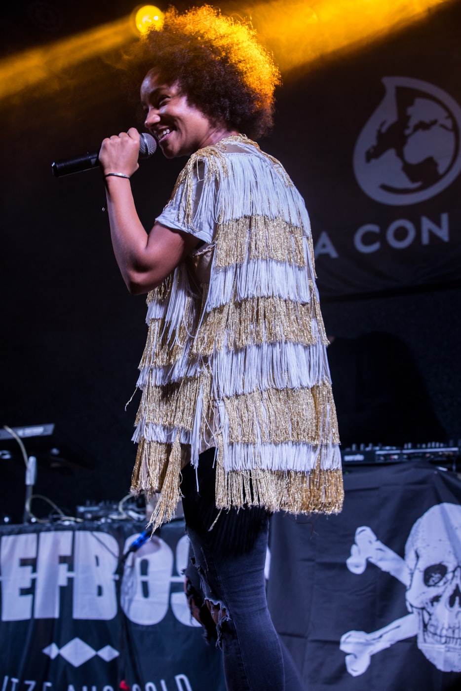 中央电视台女主持人,荧屏上的璀璨星辰