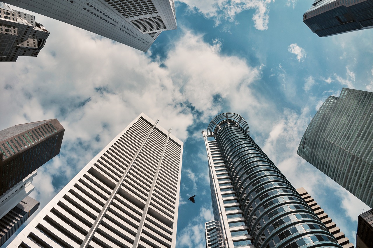 次粉行情深度解析与展望