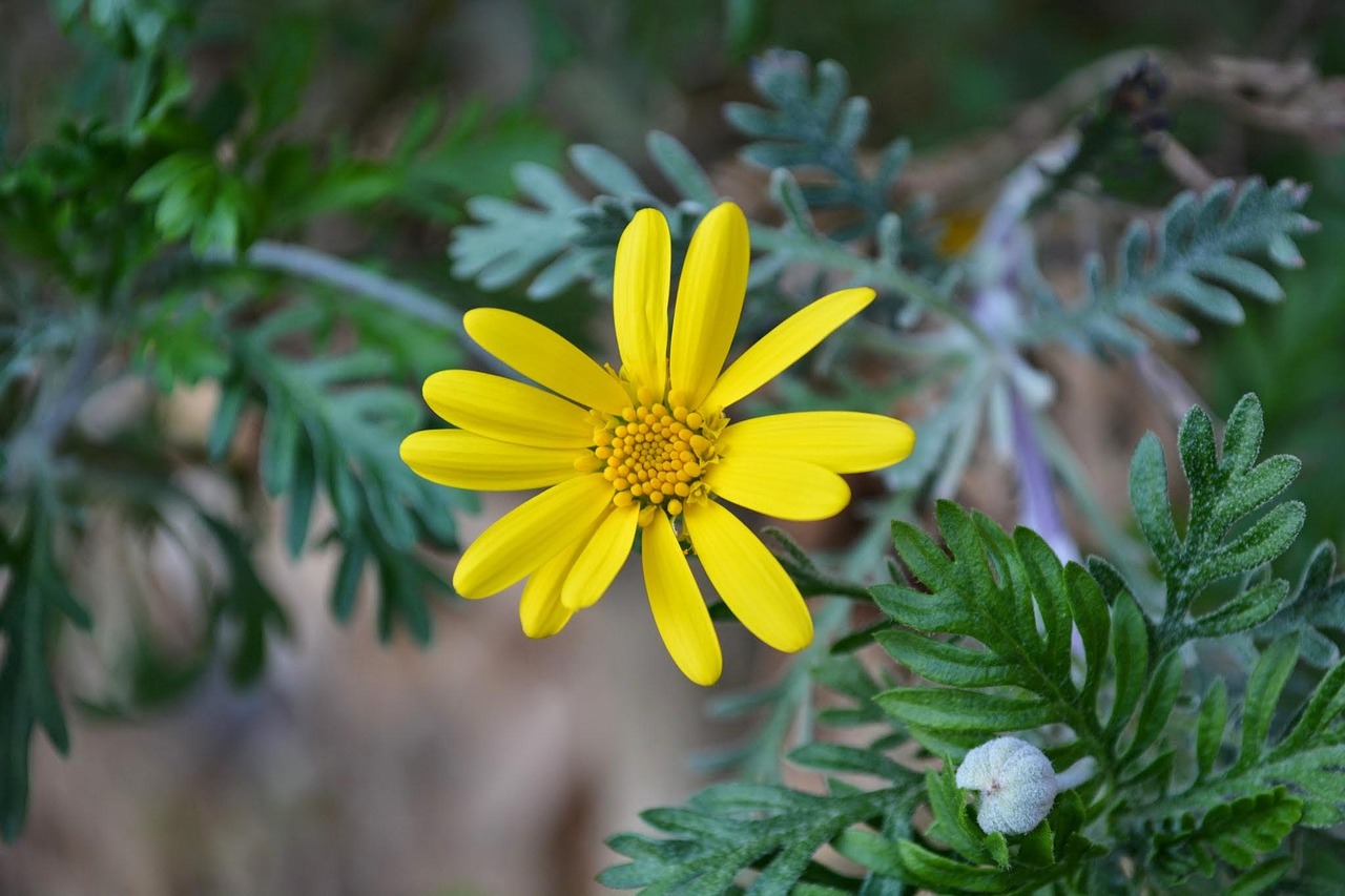 肝炎最新动态,研究、治疗与预防的进展更新概述
