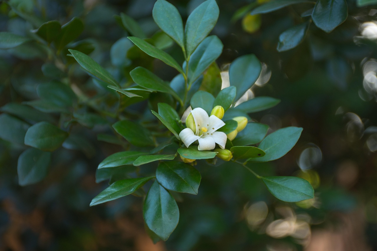 宜宾地震最新动态全面解析及应对举措发布今日更新