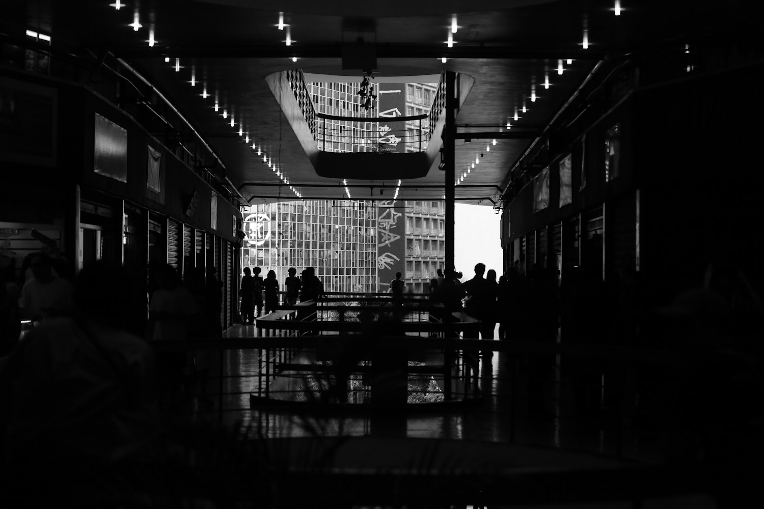 吃播新动态,探索美食之旅的无限可能