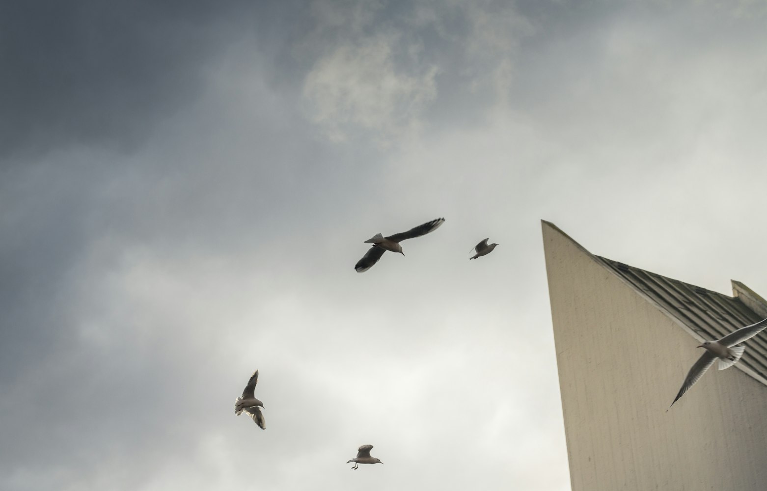 吃播新动态,探索美食之旅的无限可能