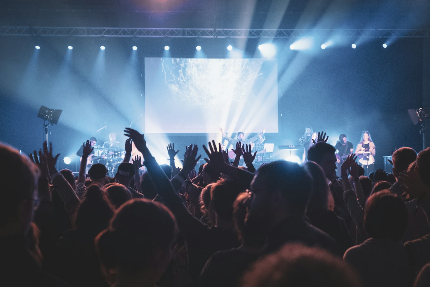 桃花影院最新放映,观众体验与最新放映一览