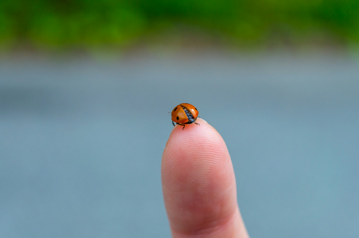 公安县招聘信息更新,最新动态及其重要性解读