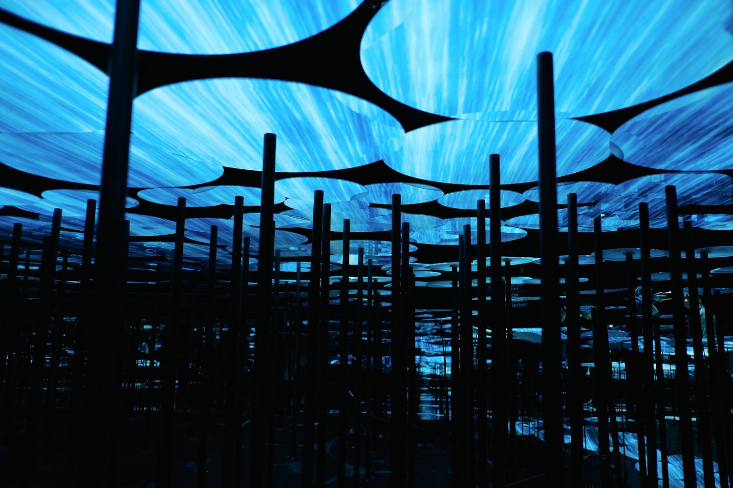 黄石电影,自然与人性壮丽史诗的展现