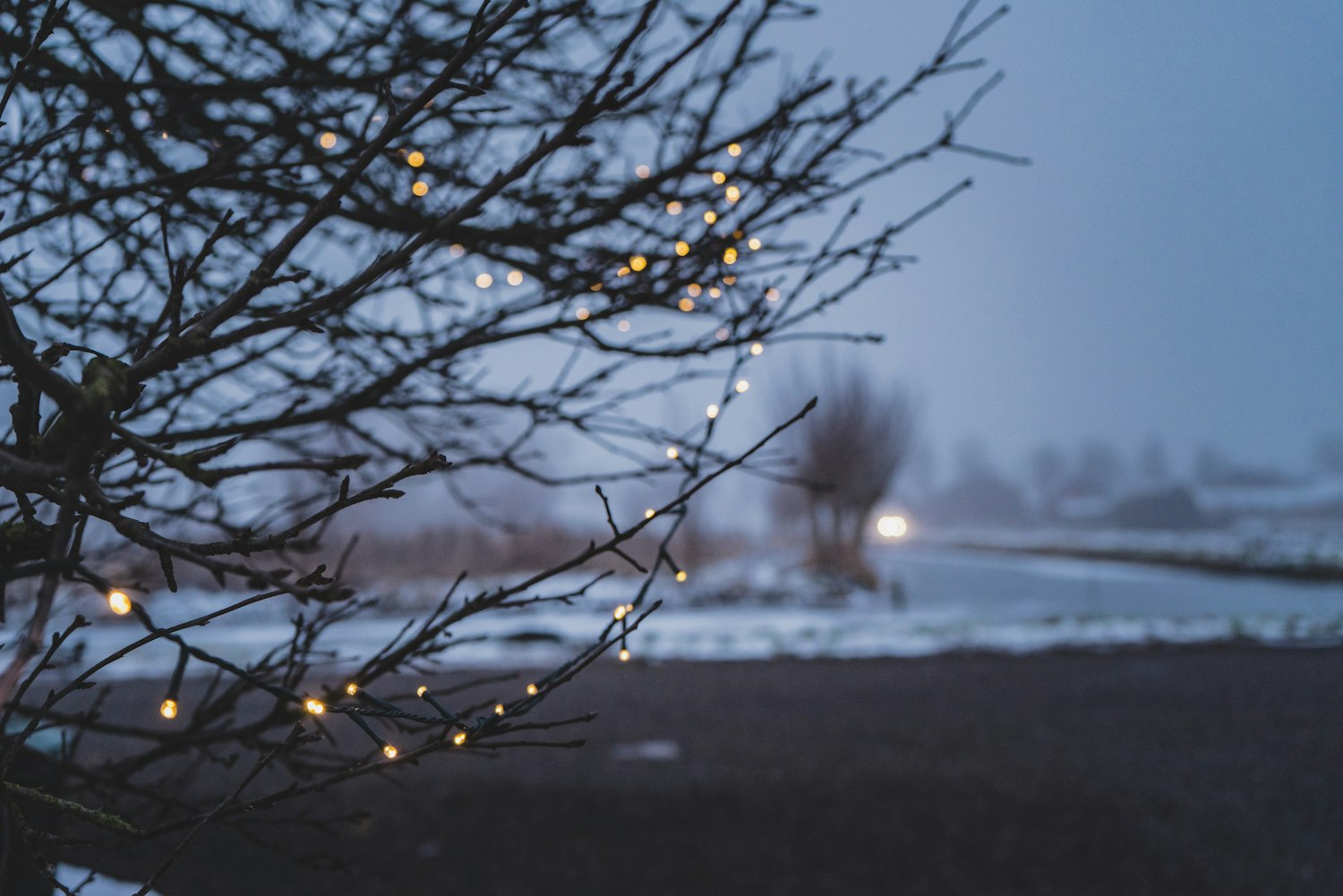 事业编改革最新动态,深度分析与展望