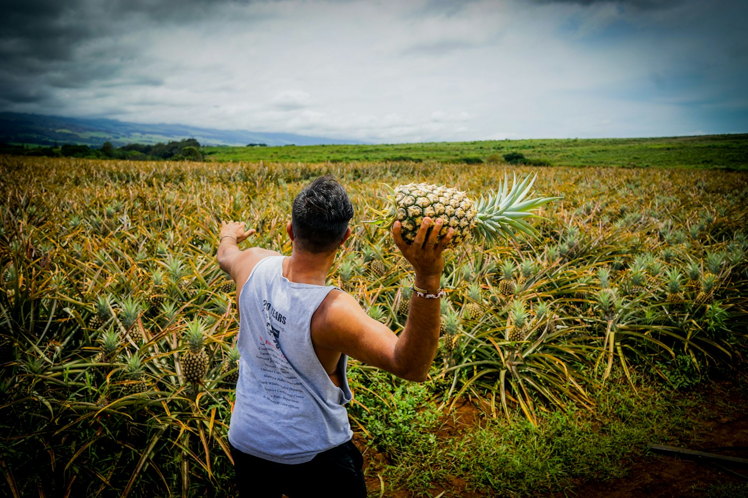 事业编改革最新动态,深度分析与展望