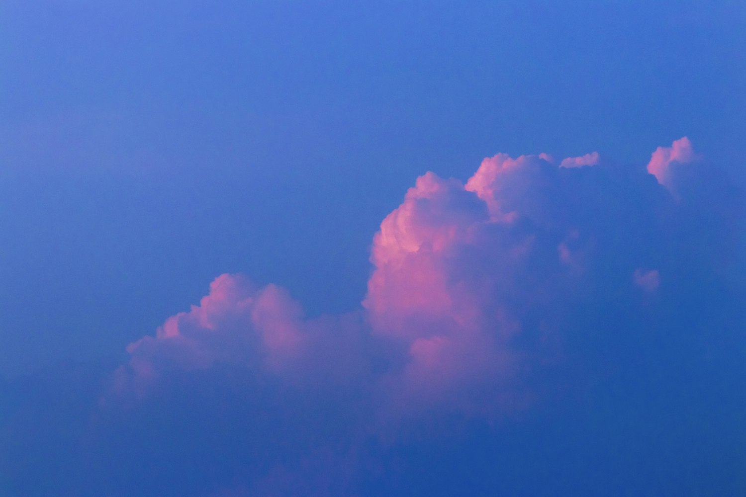 老白干股票最新动态及分析摘要