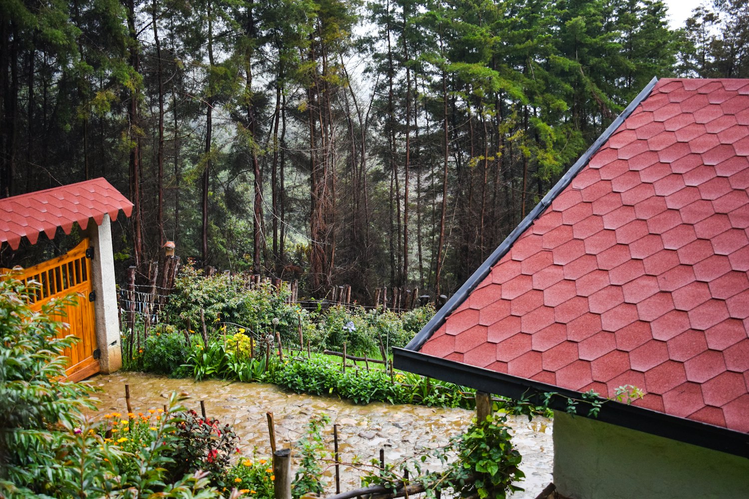 老白干股票最新动态及分析摘要