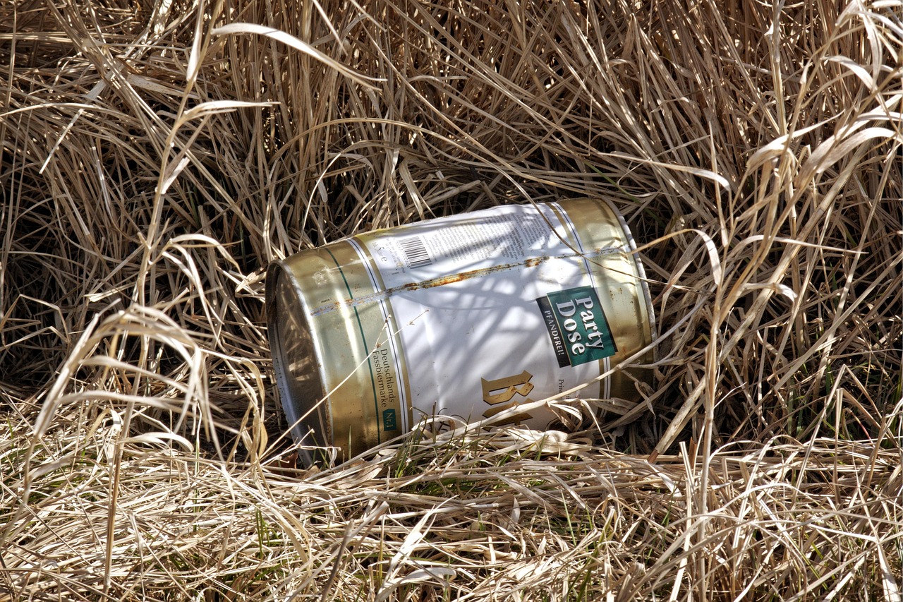 宿松论坛最新资讯,聚焦时事热点,解读地方发展动态动态