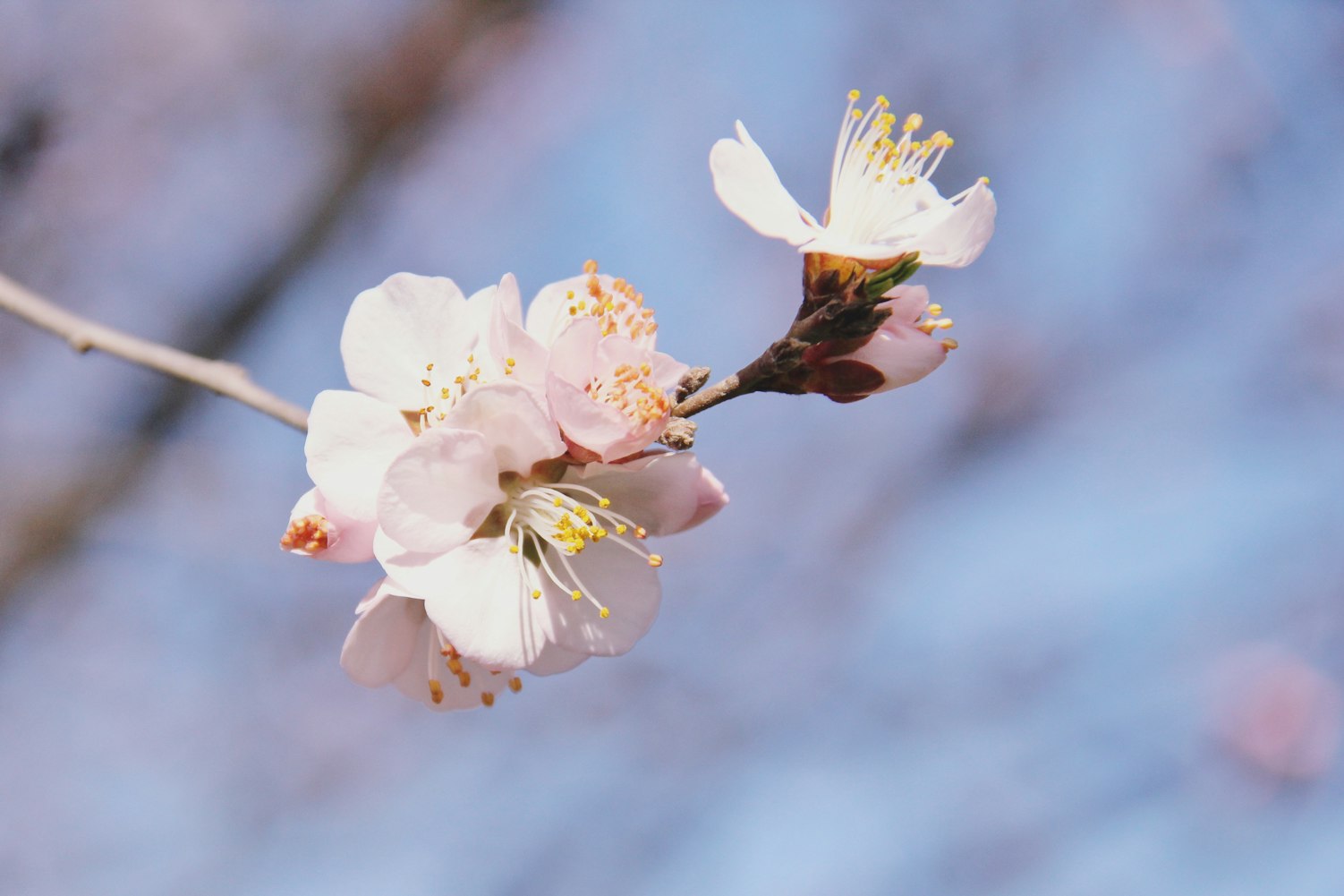 北京马拉松最新动态,城市盛事崭新篇章开启