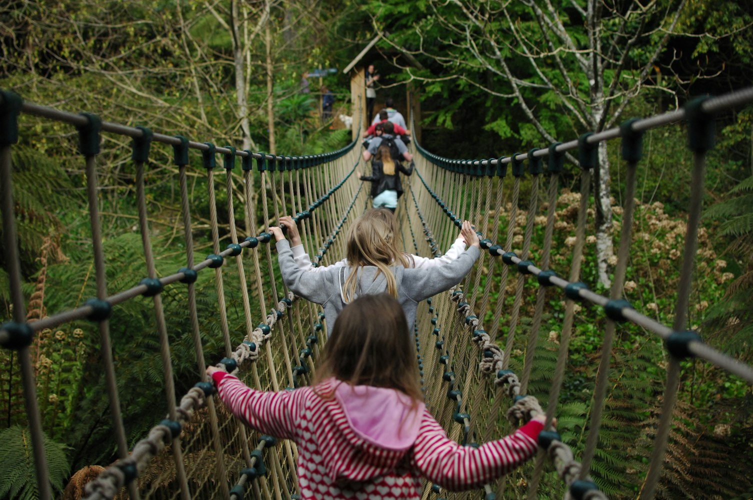 秘密花园动漫,奇幻世界的魅力之旅探索
