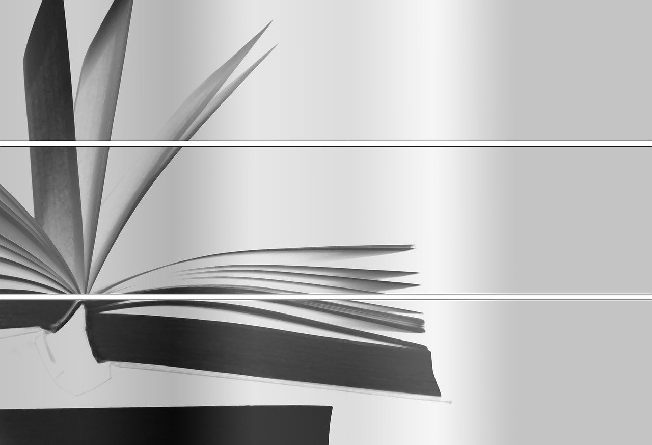 张智全新动态揭晓,开启新时代的篇章