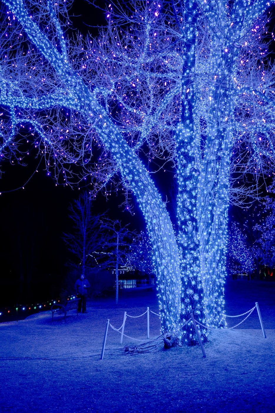 星花秀资讯,探索璀璨舞台,展现无限魅力风采