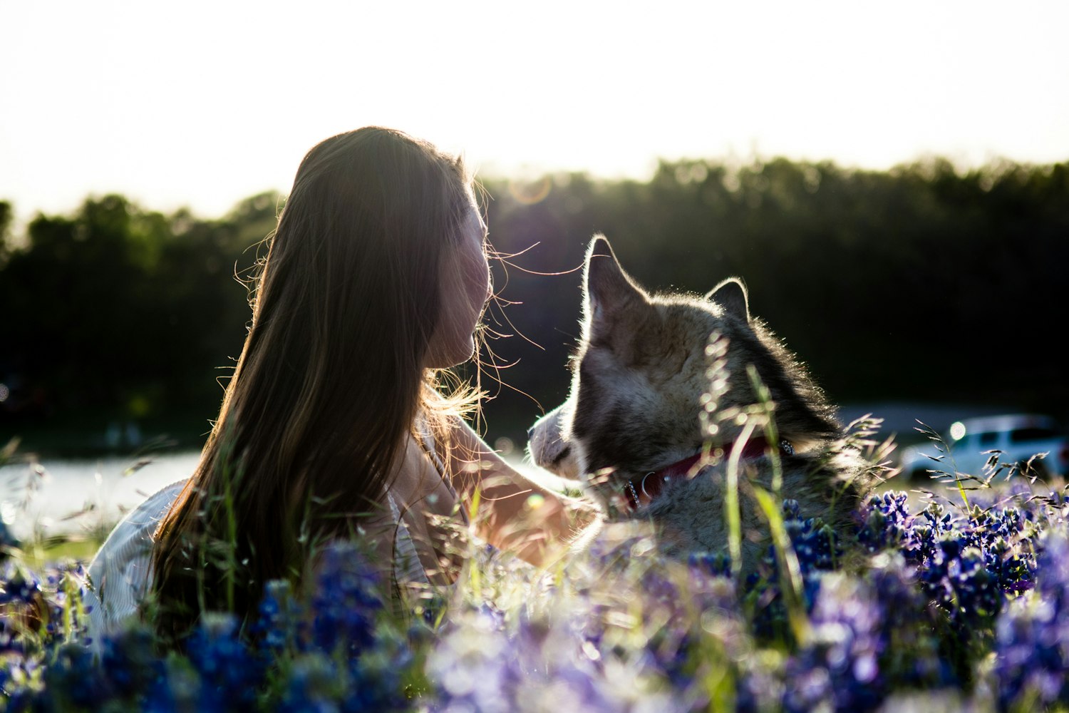 最新爱情电影,探寻情感的真谛之旅