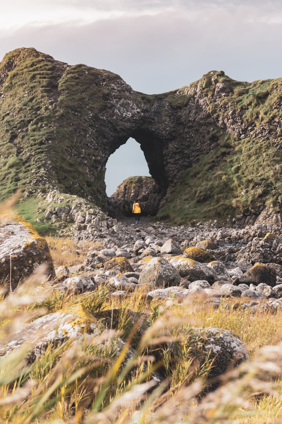 陶礼明最新动态揭秘,引领前沿科技,探索行业创新之路