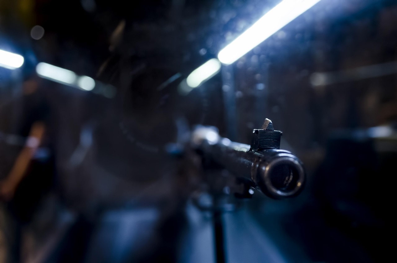 最新块状射击游戏,探索全新的射击世界体验