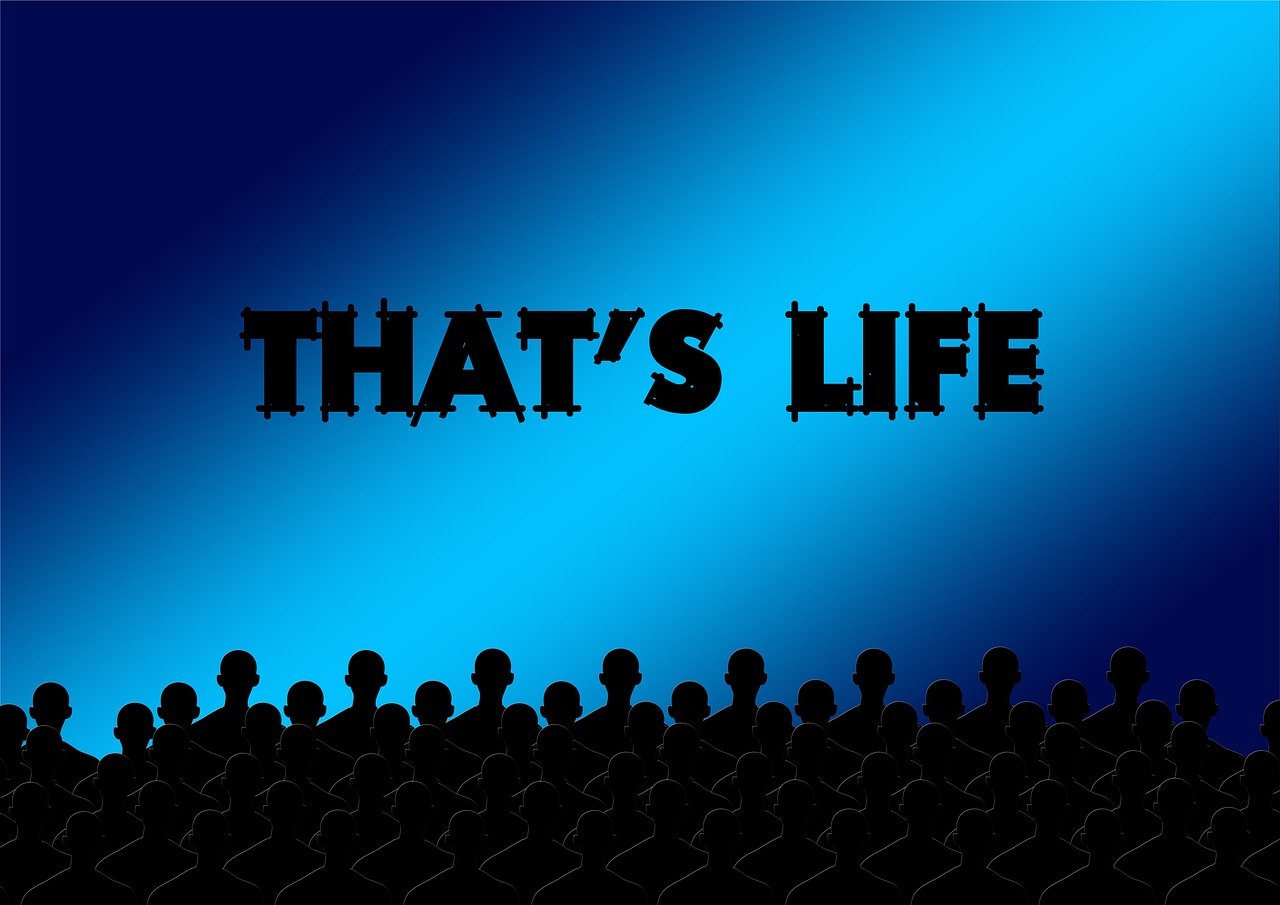 短剧时代,影视表达与观众体验的新篇章