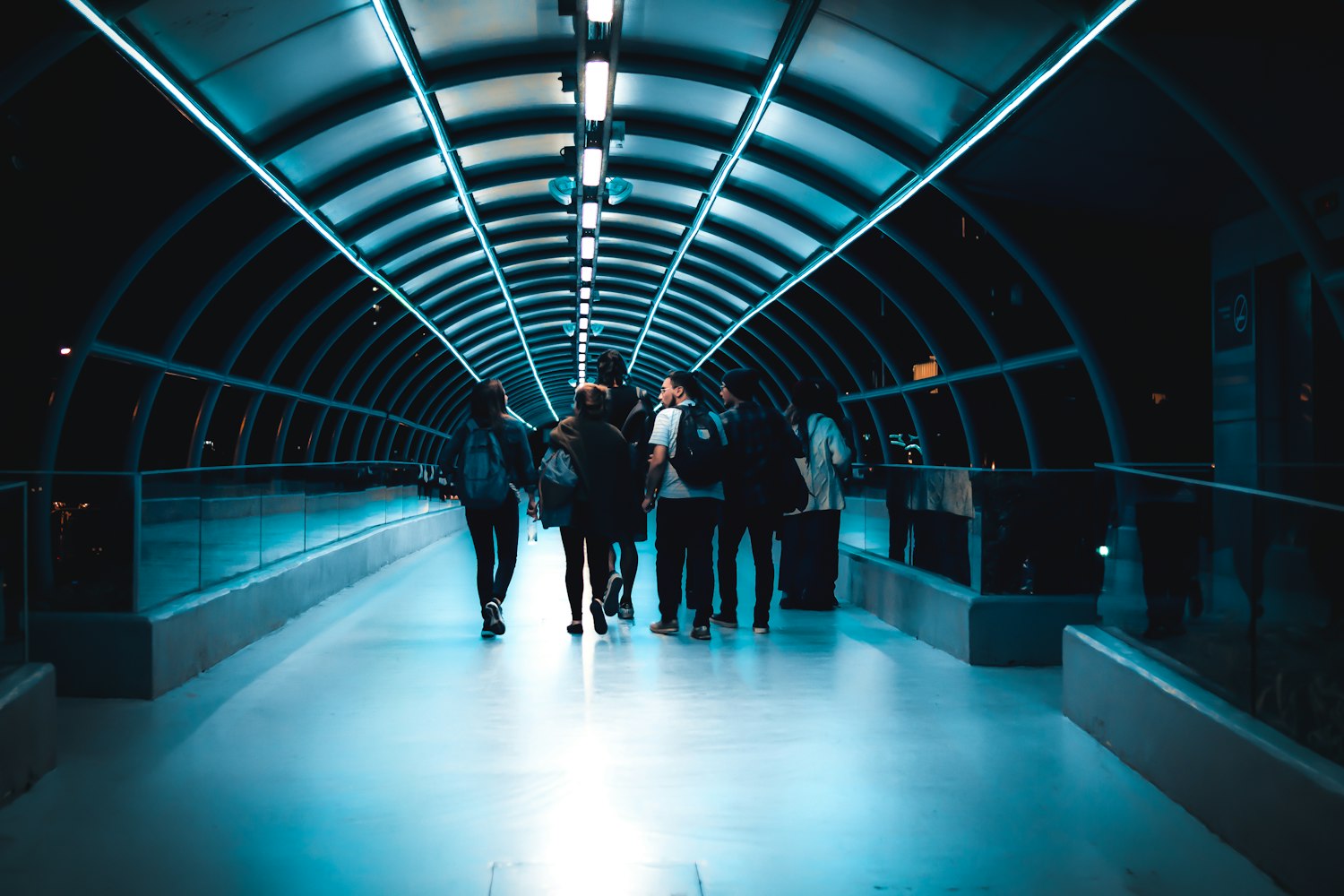 最新创新案例展示,科技与生活融合重塑美好未来